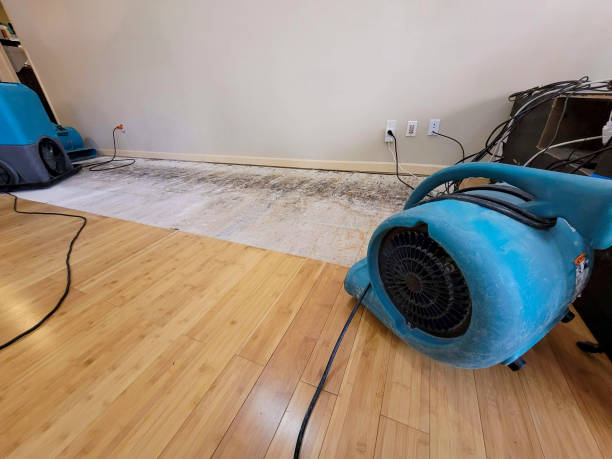 Professional Structural Drying technician working in Sunray, TX